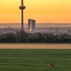 Fernsehenturm & Europäische Zentralbank in FFM