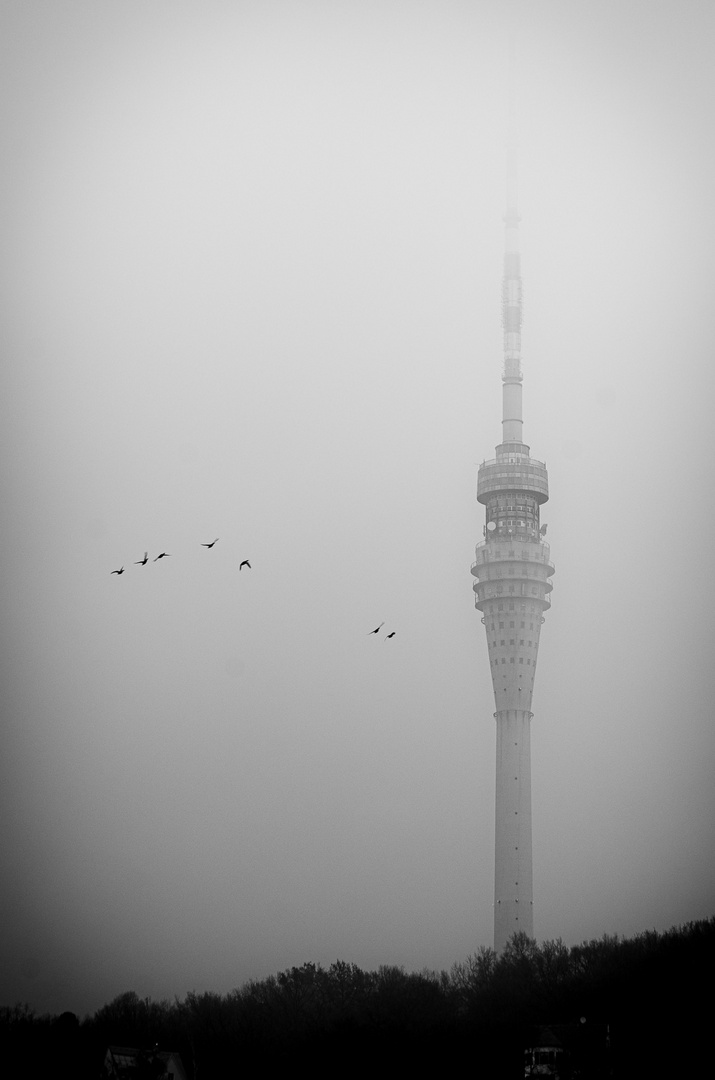 Fernsehn im Nebel