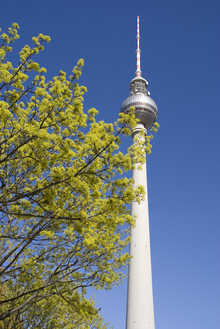 Fernsehturm 1