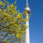 Fernsehturm 1