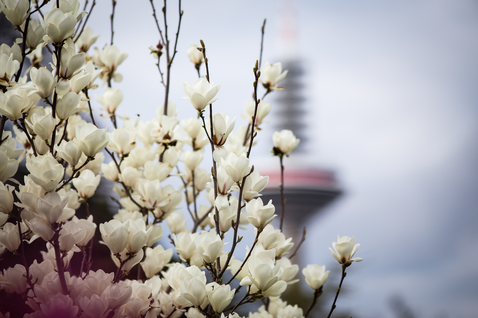 Fernsehturm 2019