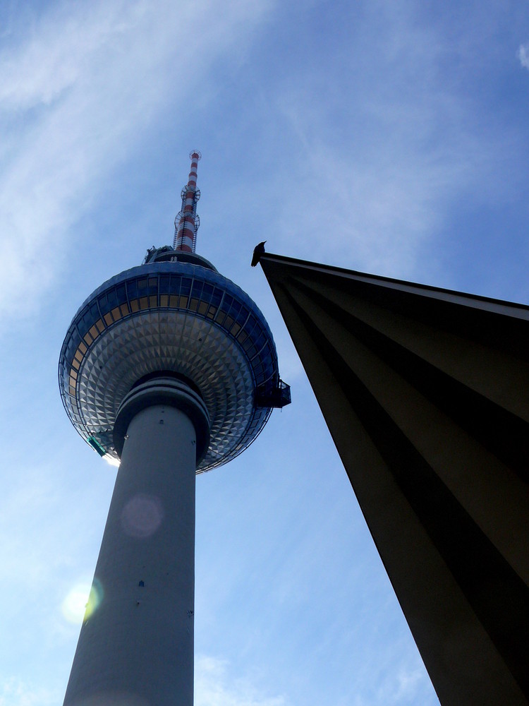 Fernsehturm Berlin mit Vorbau und Vogel