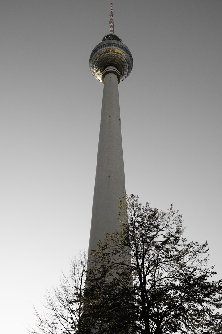 Fernsehturm Berlin Schwarz/Weiss