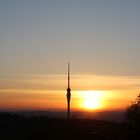 Fernsehturm Dresden Sunset