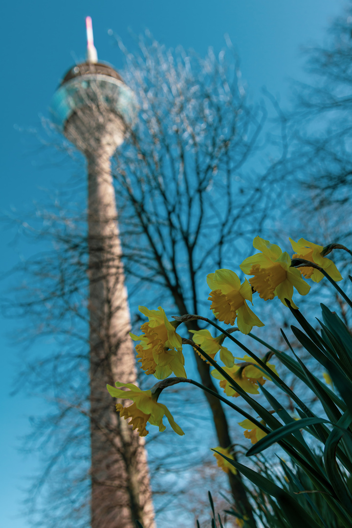 Fernsehturm Düsseldorf