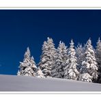 Fernsehturm Feldberg/Schwarzwald 1493 m.ü.M.