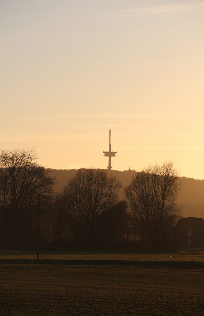 Fernsehturm im Abendlicht