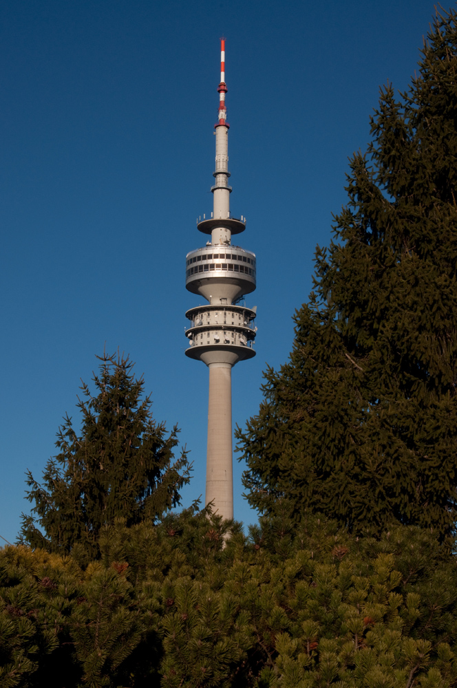 Fernsehturm im Grünen