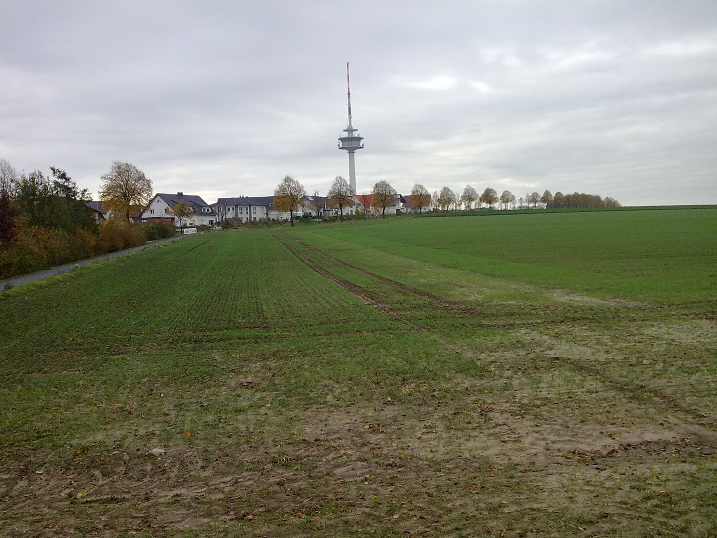 Fernsehturm im Herbst