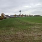 Fernsehturm im Herbst