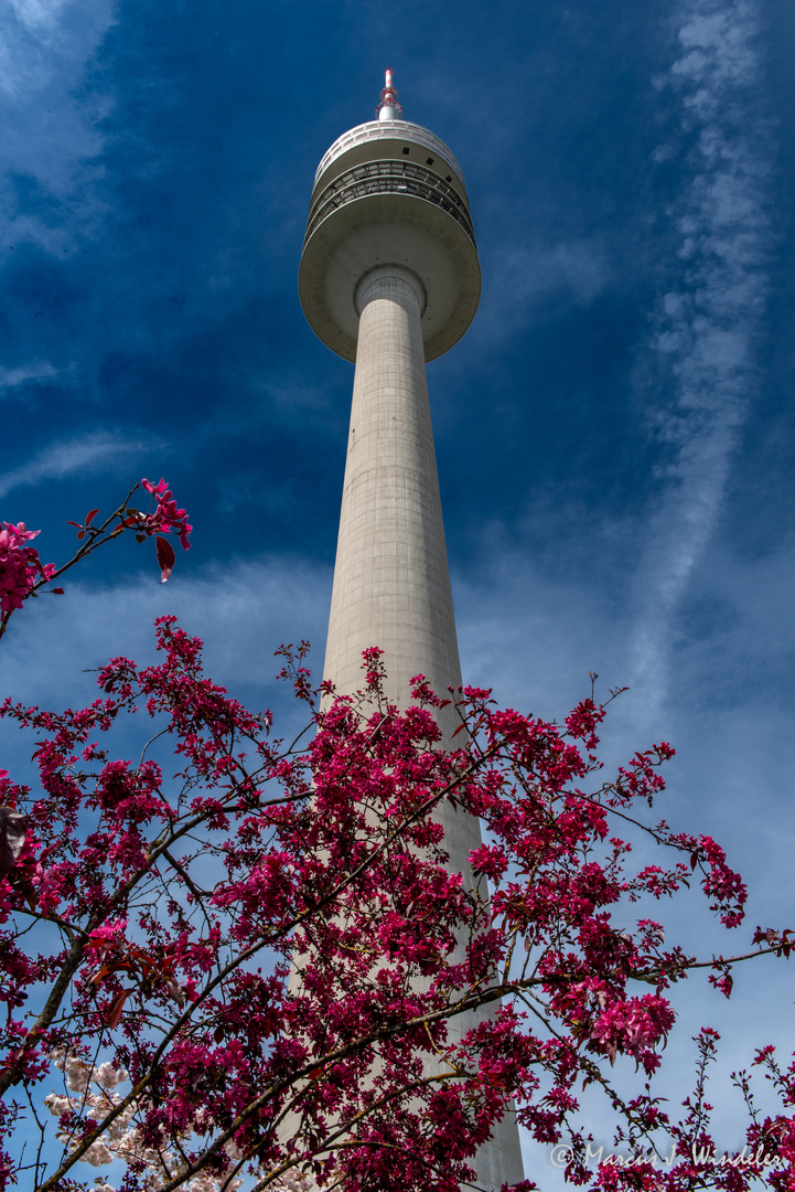 Fernsehturm im Olympiapark in München