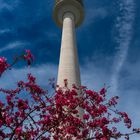 Fernsehturm im Olympiapark in München