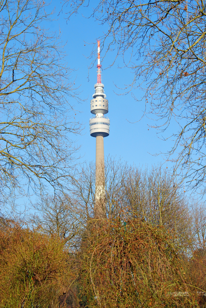 Fernsehturm im Park