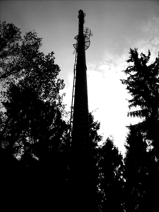 fernsehturm im wald