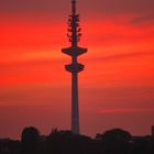 Fernsehturm in Abendstimmung