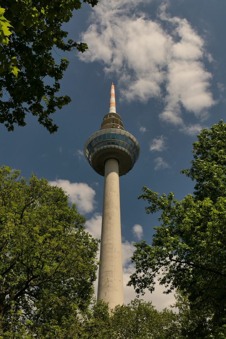 Fernsehturm in Mannheim ...