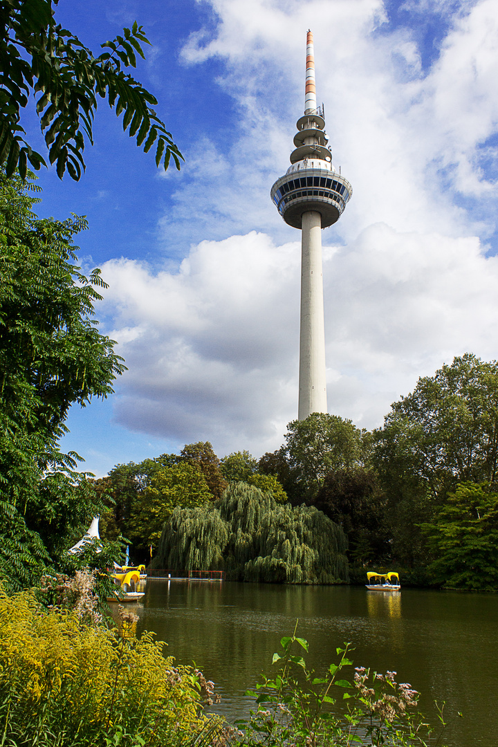 Fernsehturm Mannheim Foto & Bild | motive Bilder auf fotocommunity