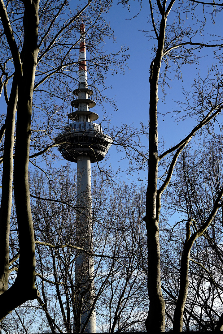 Fernsehturm Mannheim