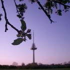 Fernsehturm Münster 2007