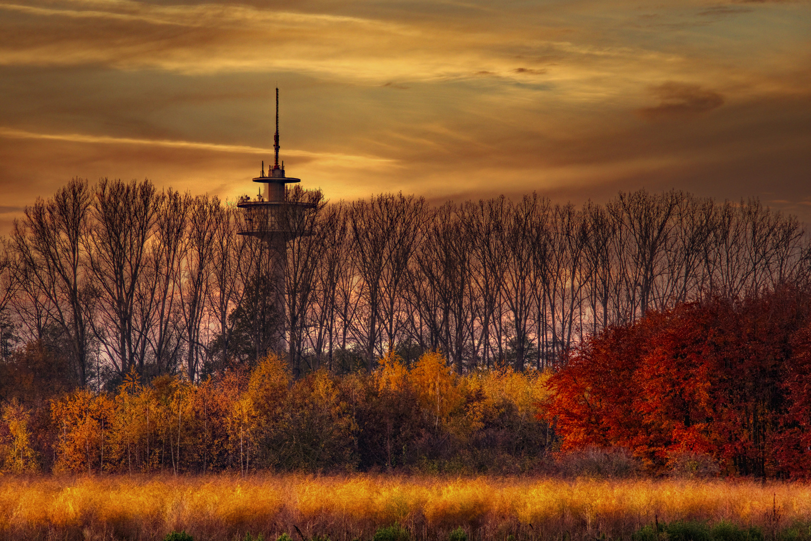 Fernsehturm Schiefbahn im Herbst