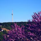 Fernsehturm Stuttgart