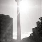 Fernsehturm und Brunnen am Alexanderplatz im Sommer