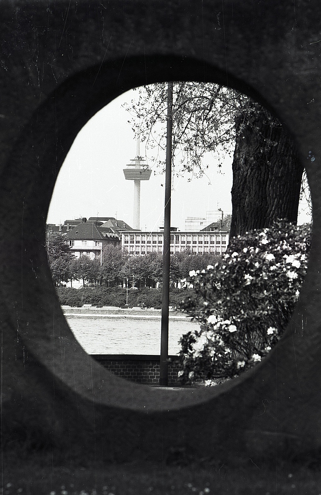 Fernsehturm vom Rheinpark aus fotografiert (1984)