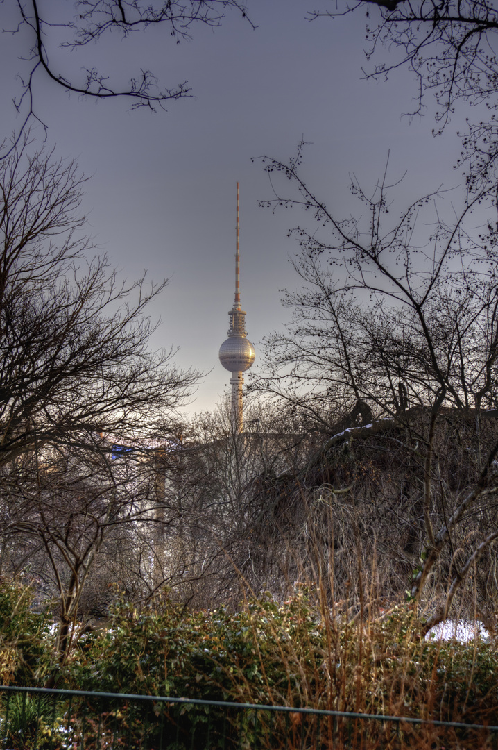 Fernsehturm von weitem im Winter