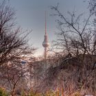 Fernsehturm von weitem im Winter