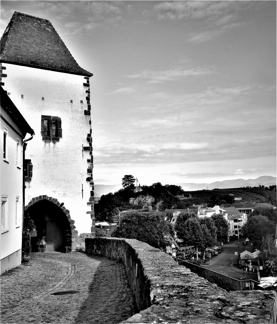 Fernsicht am Münsterberg