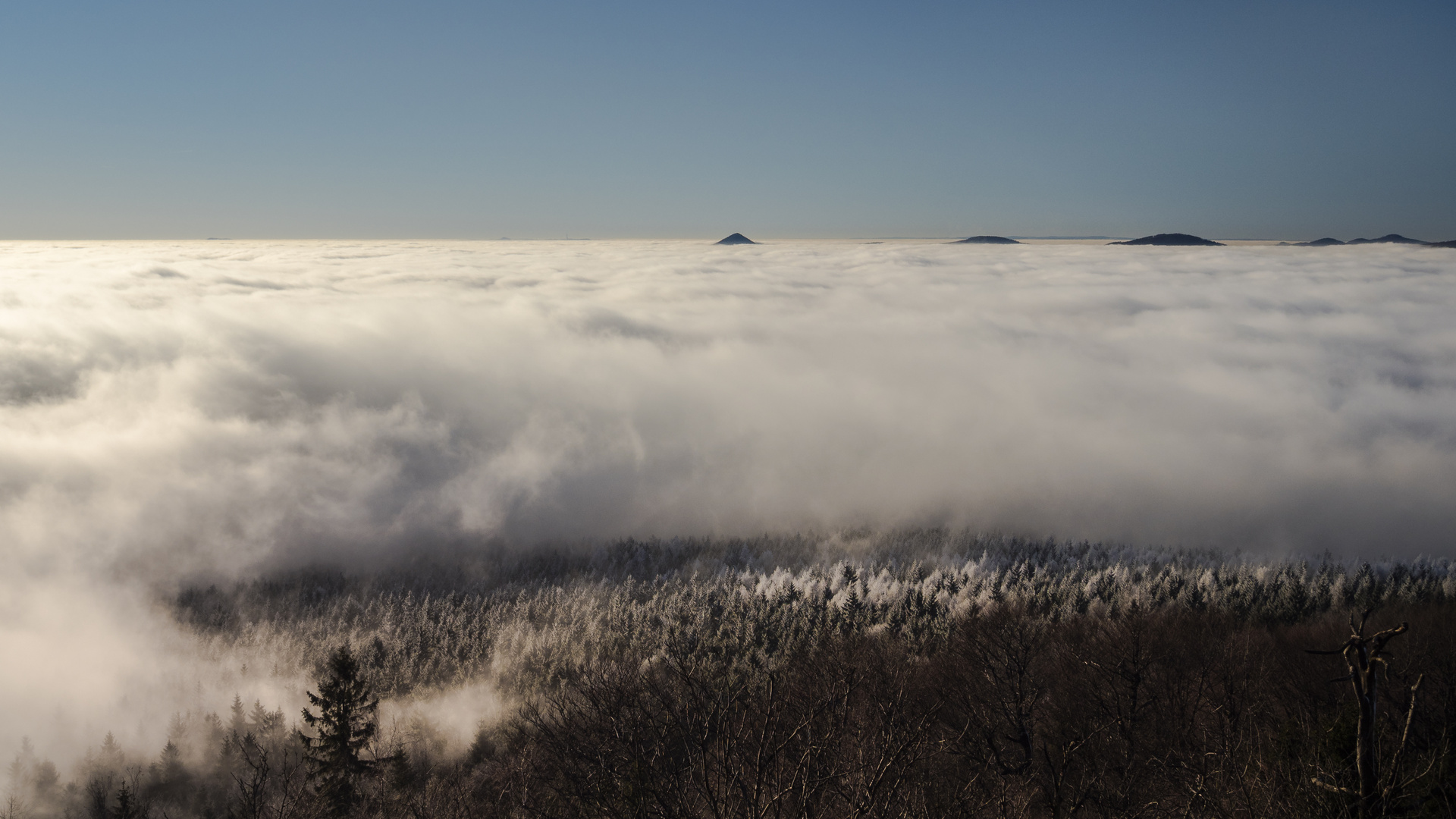 Fernsicht auf dem Hochwald