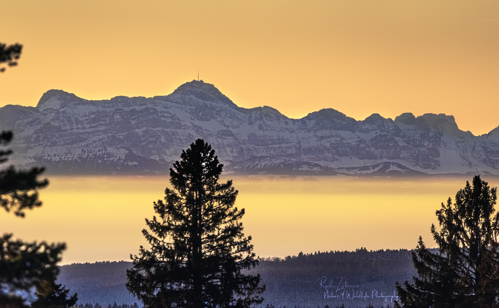 Fernsicht auf die Alpen