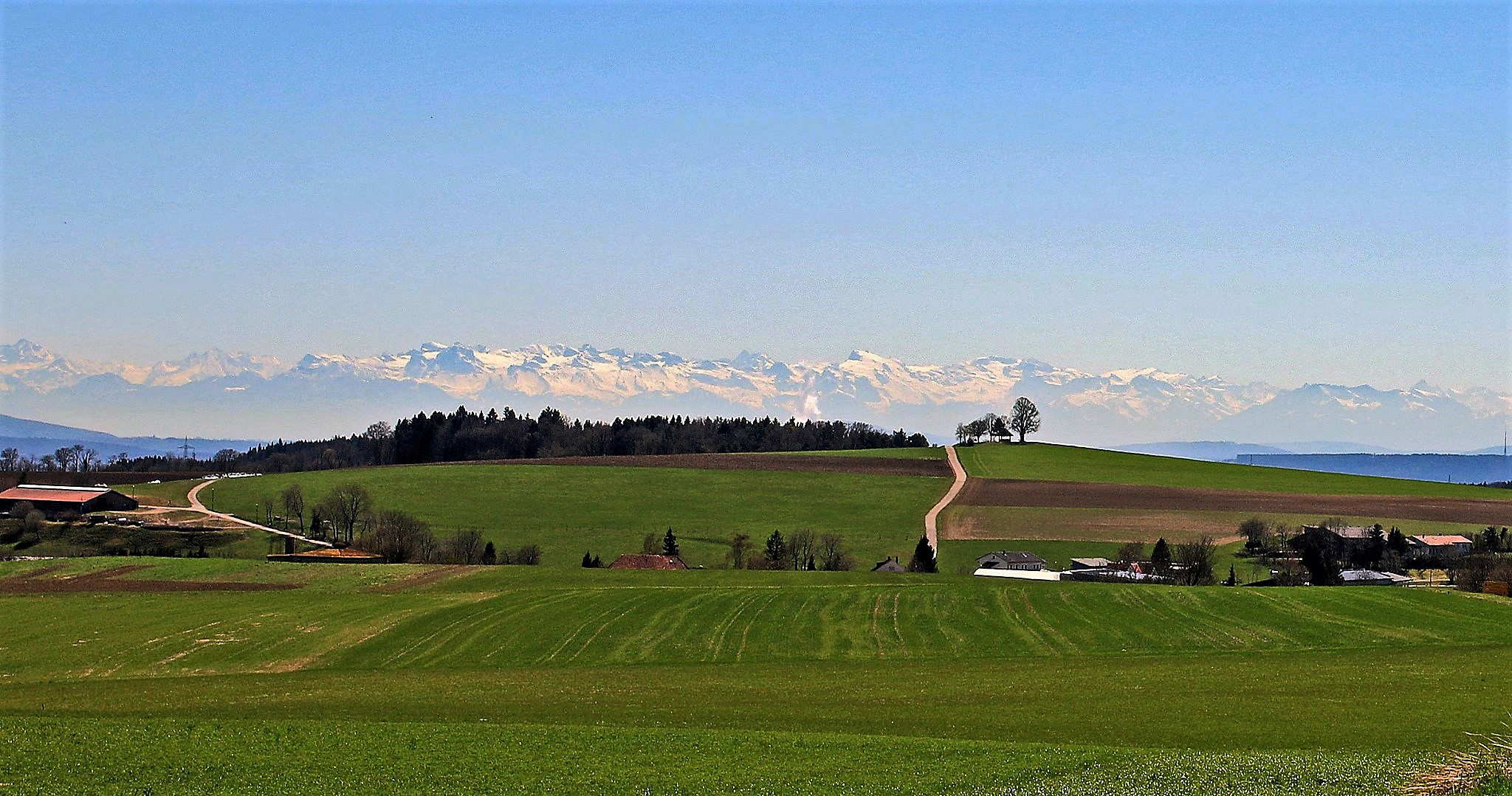 Fernsicht auf die Schweizer Alpen