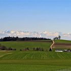 Fernsicht auf die Schweizer Alpen