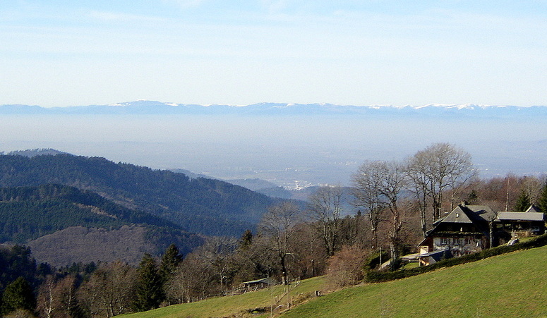 Fernsicht auf die Schweizer Alpen