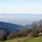 Fernsicht auf die Schweizer Alpen