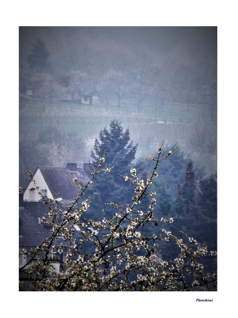 Fernsicht auf Frauenstein