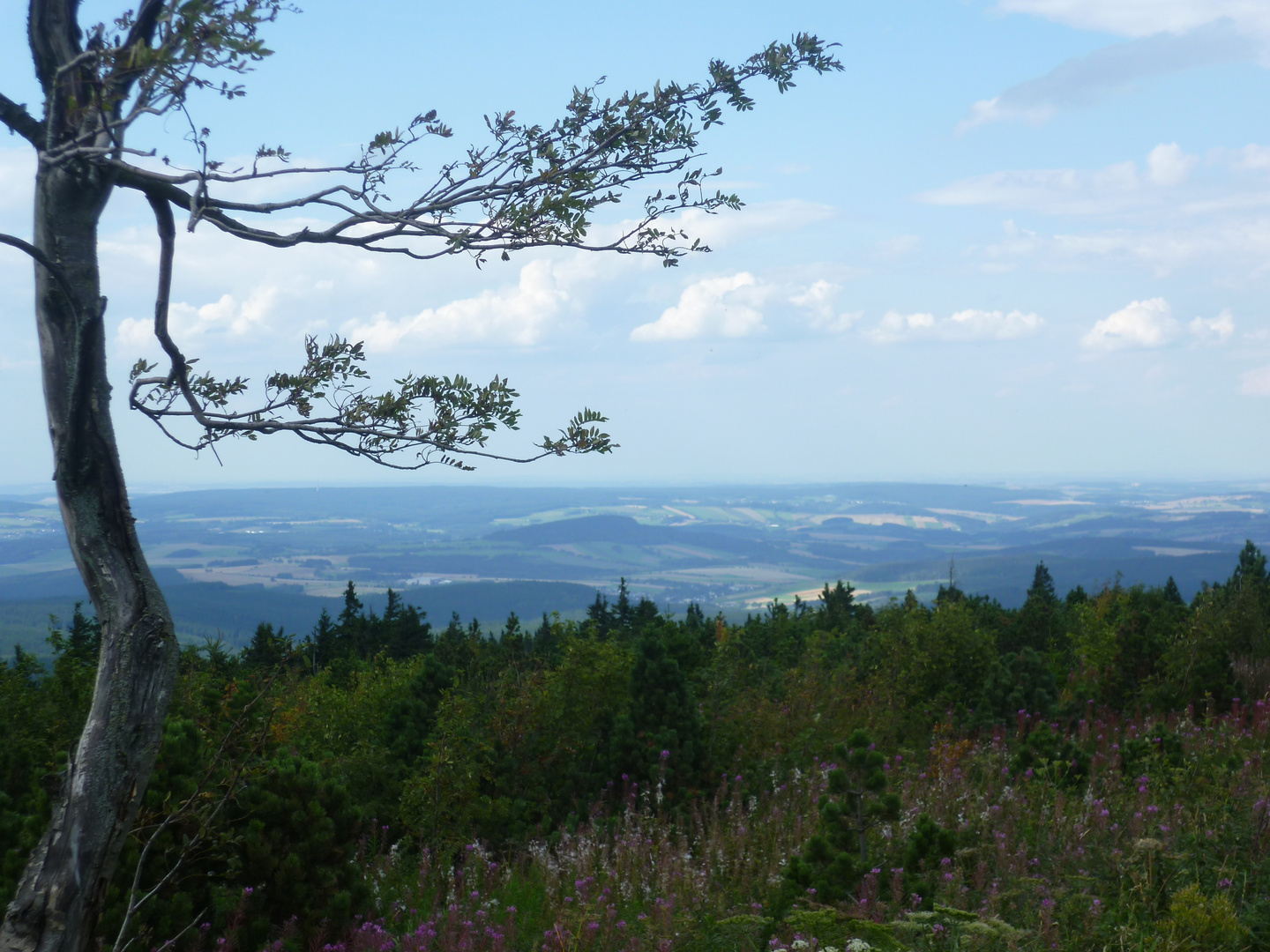 Fernsicht im Erzgebirge