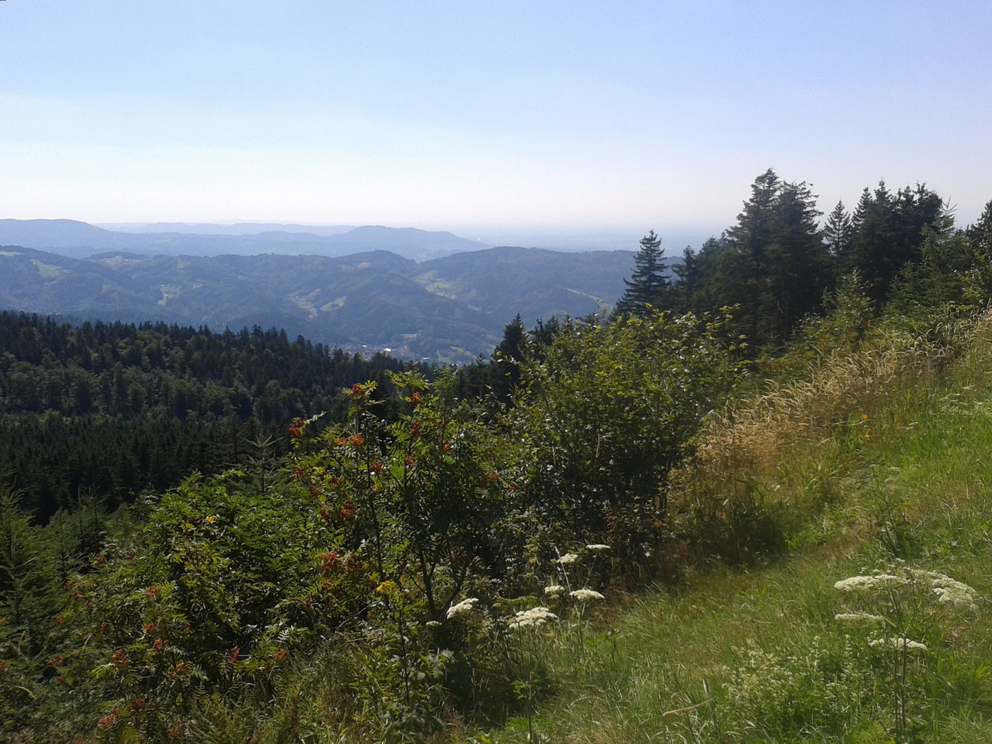 Fernsicht im Schwarzwald