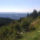 Fernsicht im Schwarzwald