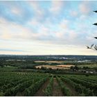 Fernsicht über dem Rheingau