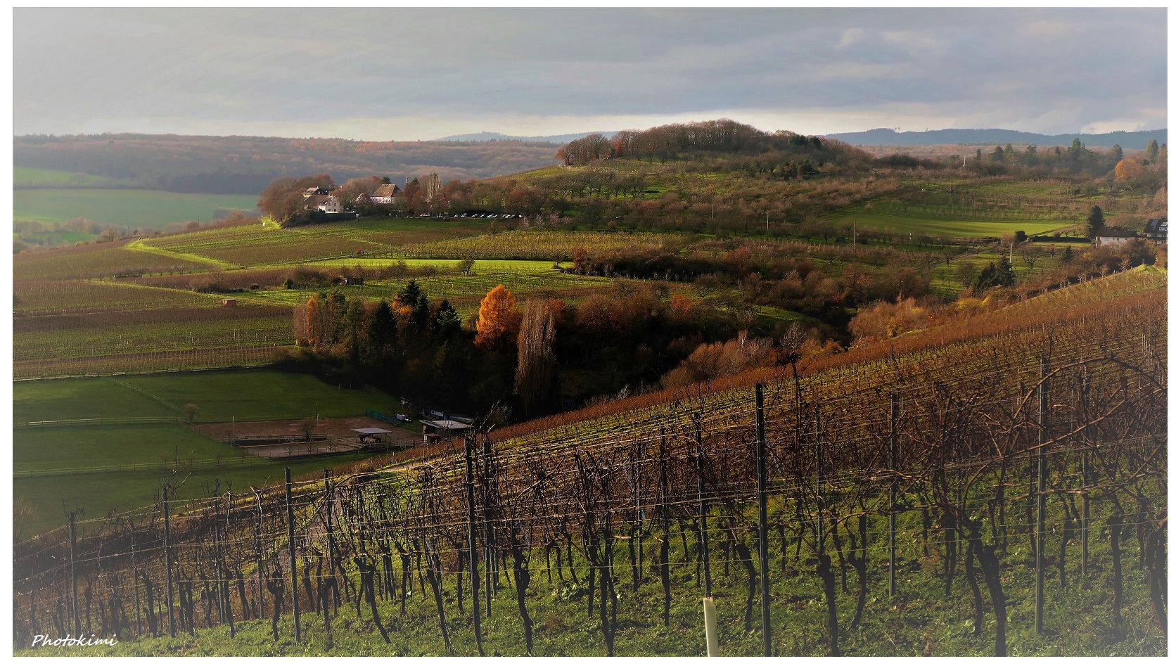 Fernsicht über die Weinbergen