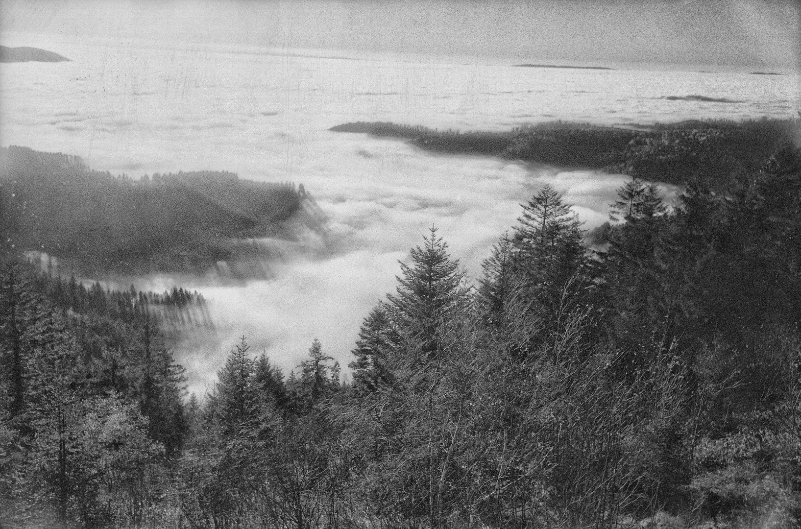 Fernsicht überm Nebel