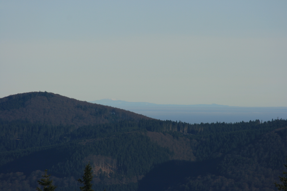 Fernsicht vom Kahlen Asten zum Brocken