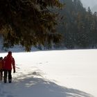 Fernsteinsee