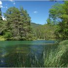 Fernsteinsee in Tirol