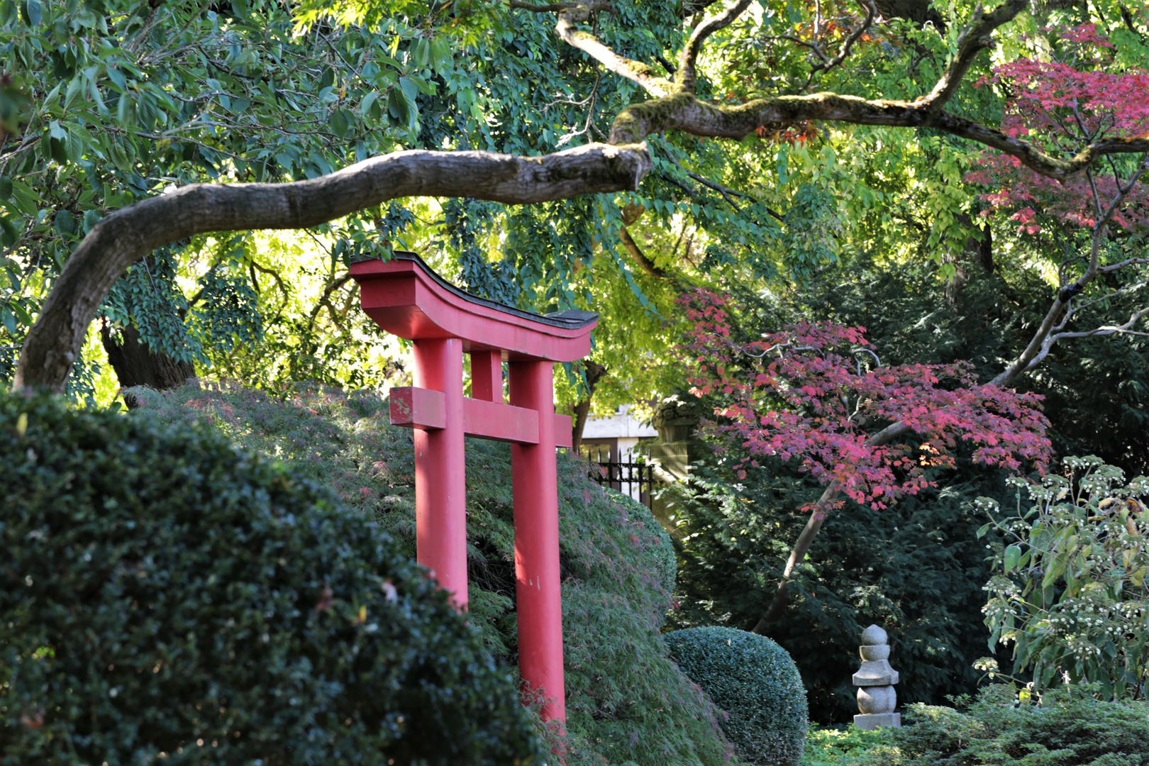 Fernweh - Fast wie in Japan 