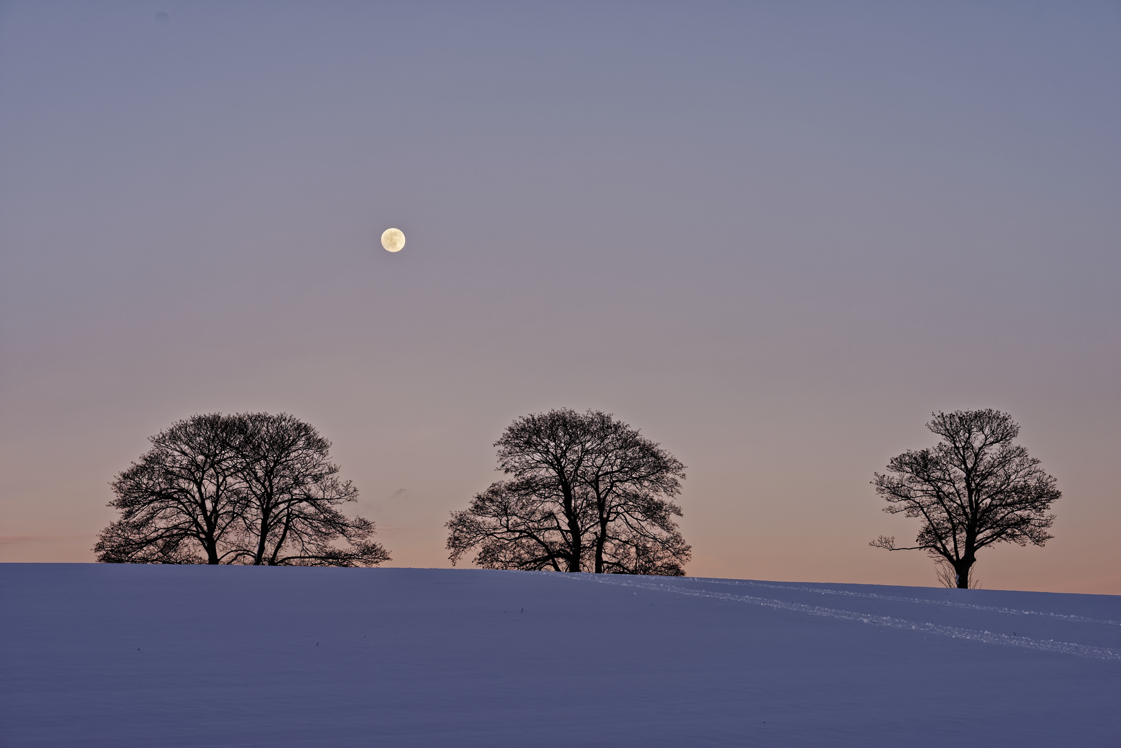 Fernweh in der Winterlandschaft