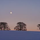 Fernweh in der Winterlandschaft