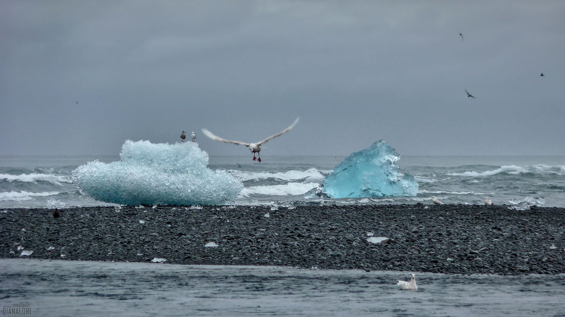 Fernweh: Island - Jökulsárlón - "im Anflug"